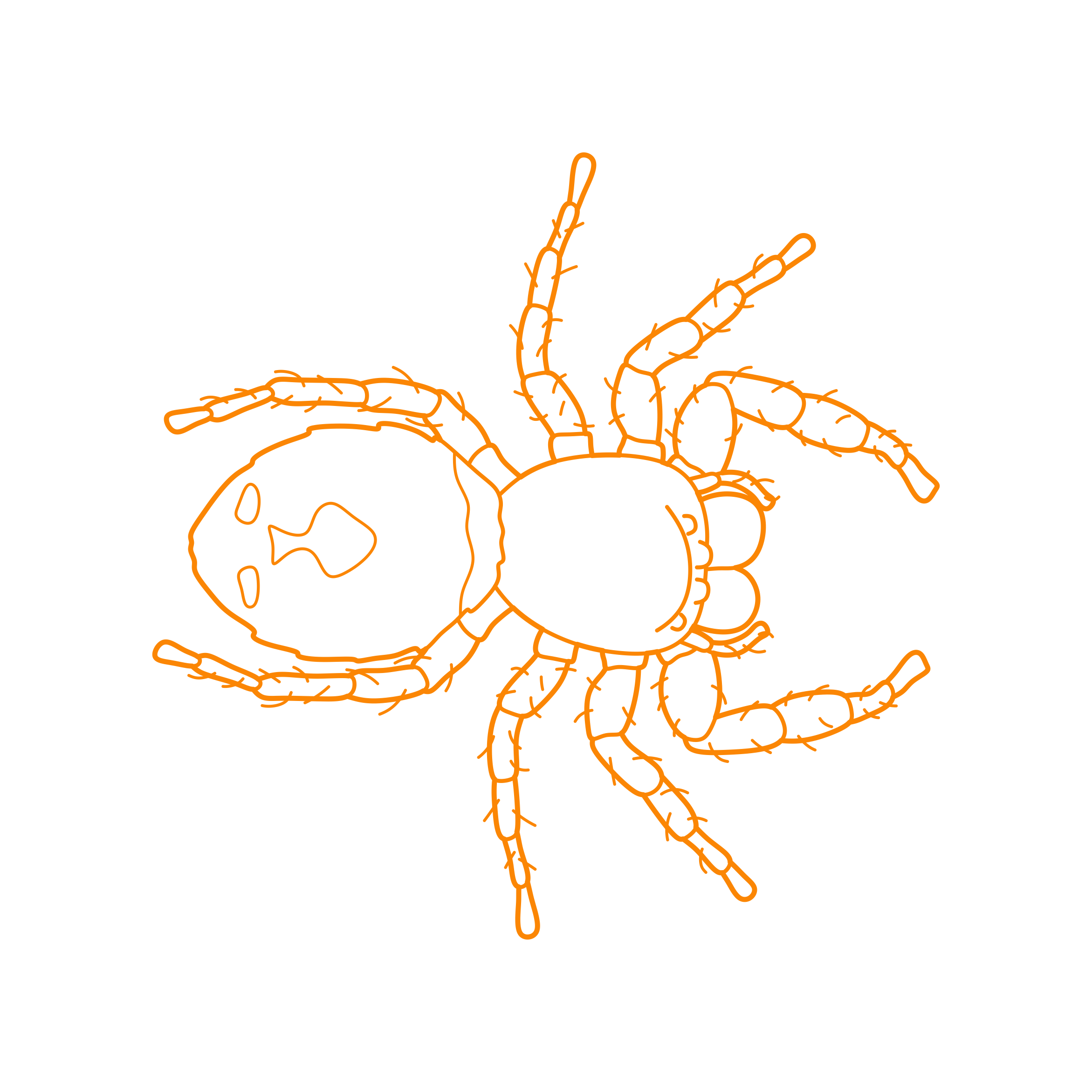 Animals Arachnids Bold Jumping Spider Laser Cut Svg File Free Vectors